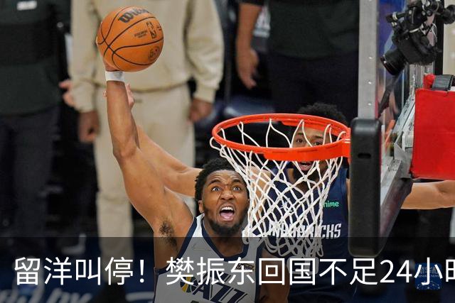 留洋叫停！樊振东回国不足24小时，官宣新身份，总算盼来这一天